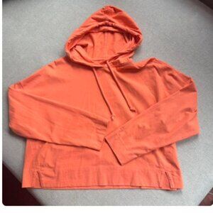 Everlane Cropped Hoodie